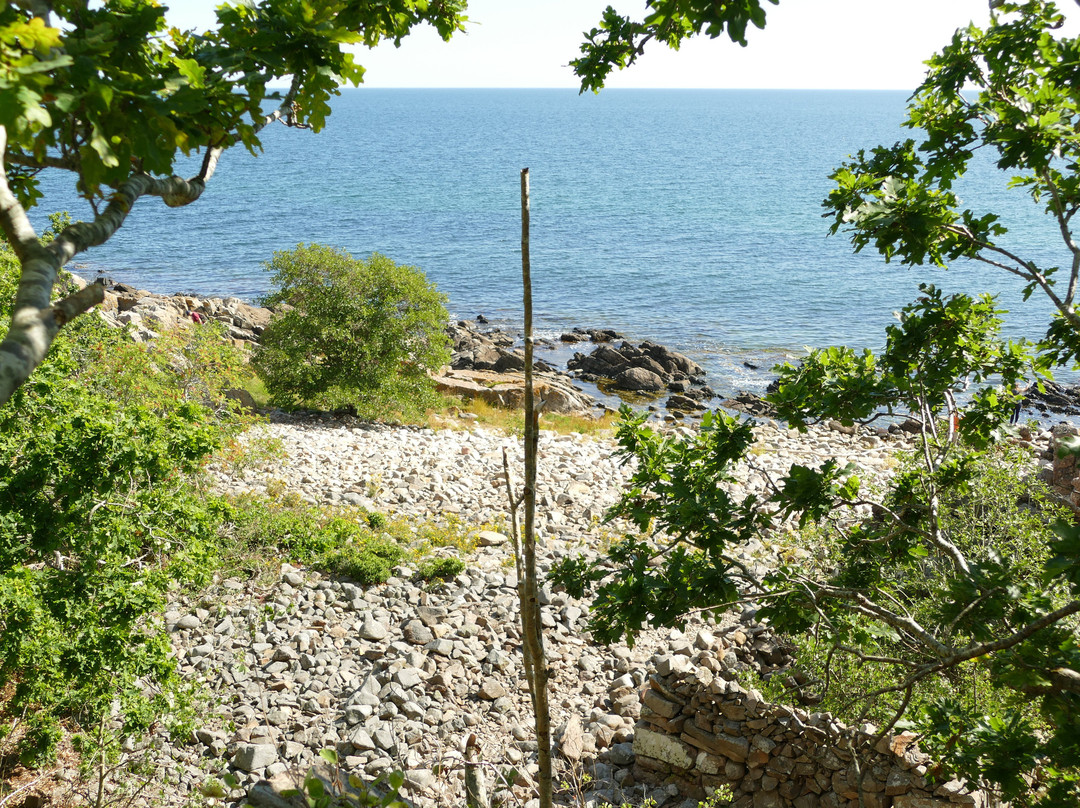 Stenshuvud Nationalpark-Kivik必去景点
