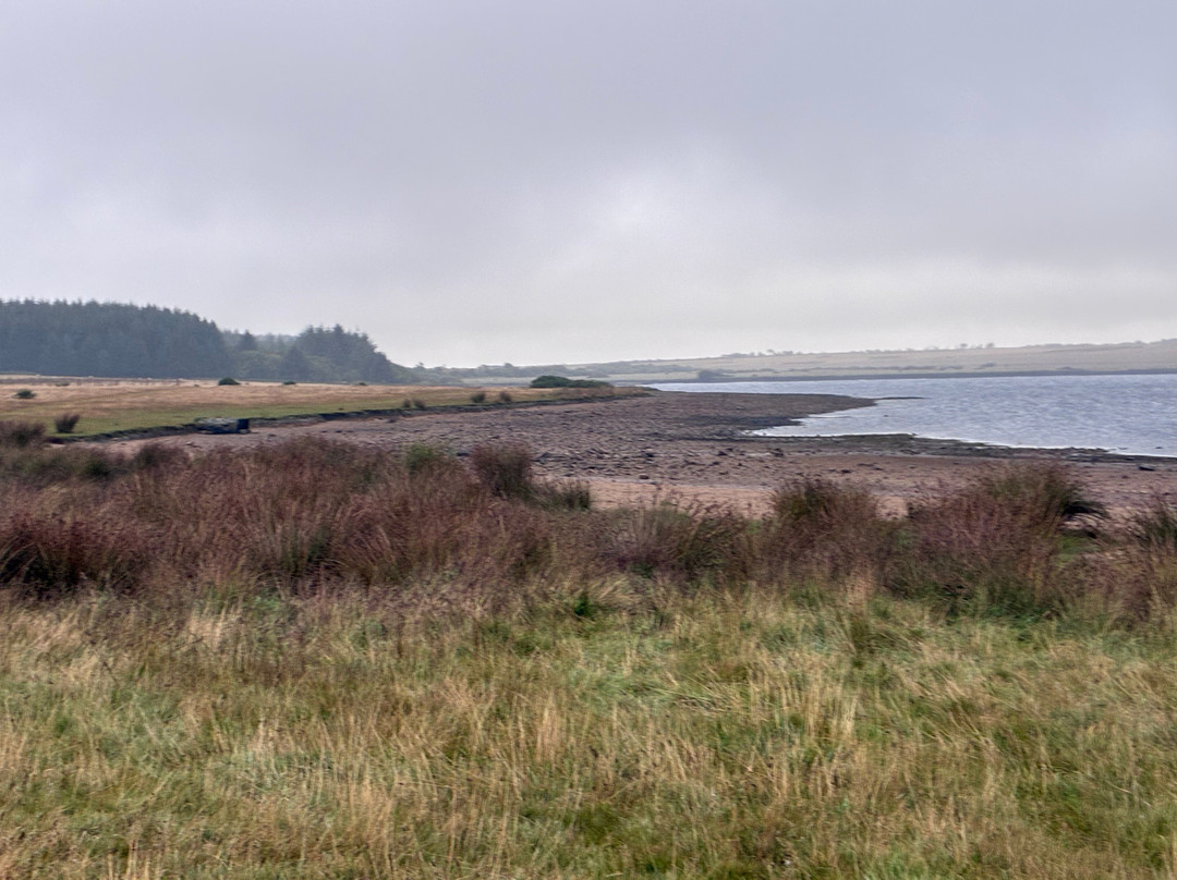 Crowdy Reservoir-Camelford必去景点