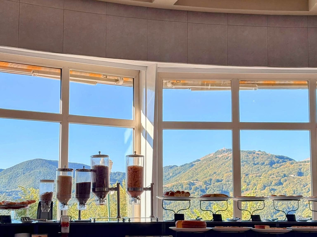 奇普里亚尼公园酒店主图