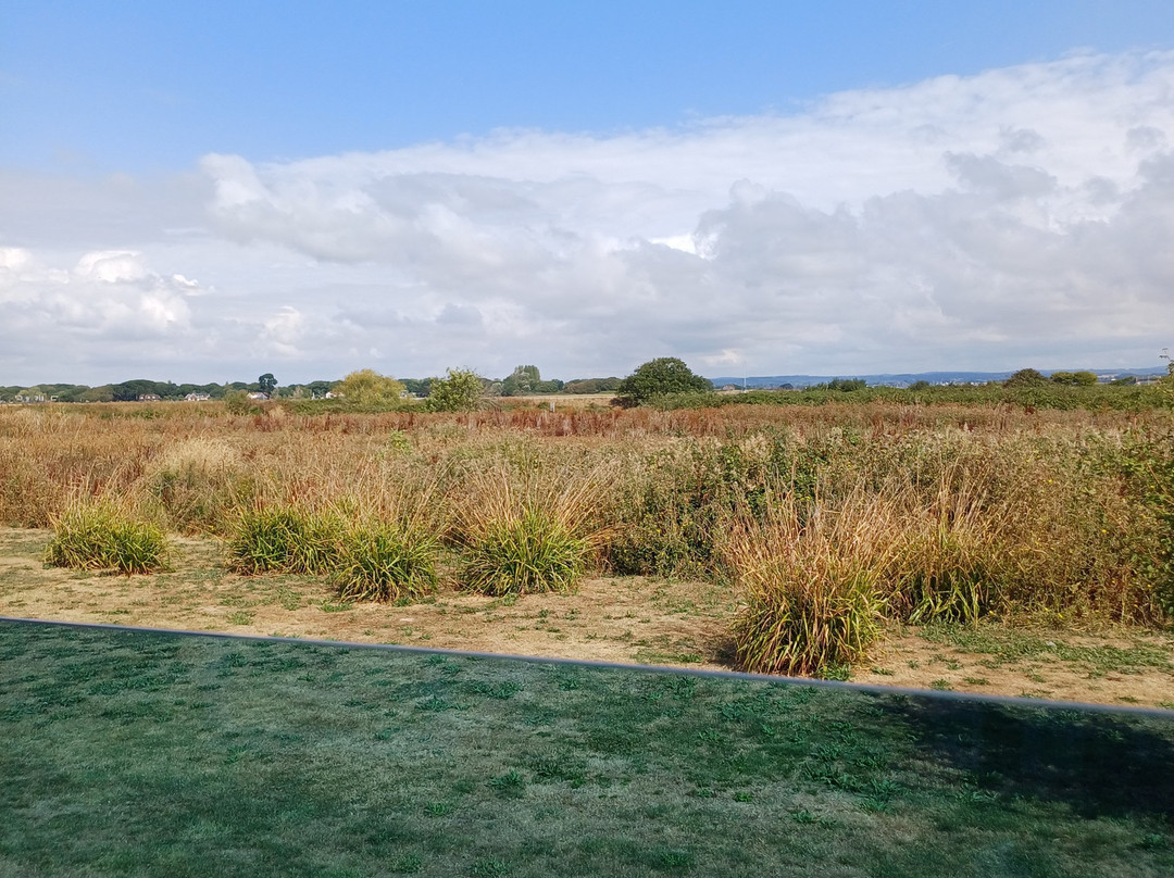 Mill Rythe Coastal Village主图