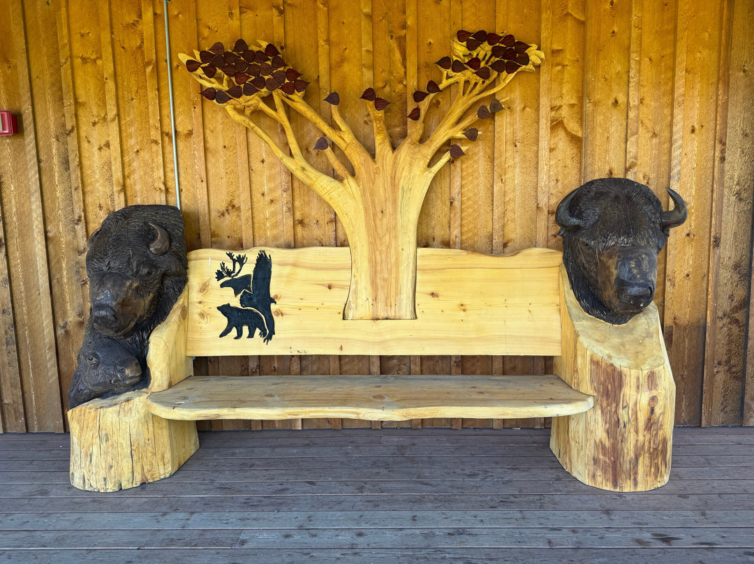 Alaska Wildlife Conservation Center-戈德伍德必去景点