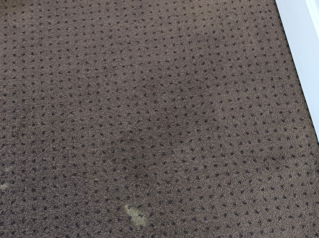 林间别墅酒店主图