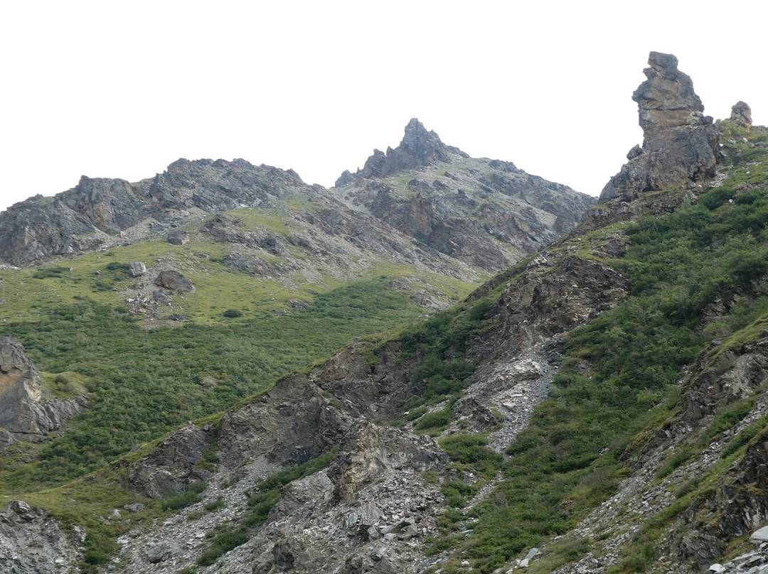 Denali National Park-阿拉斯加必去景点
