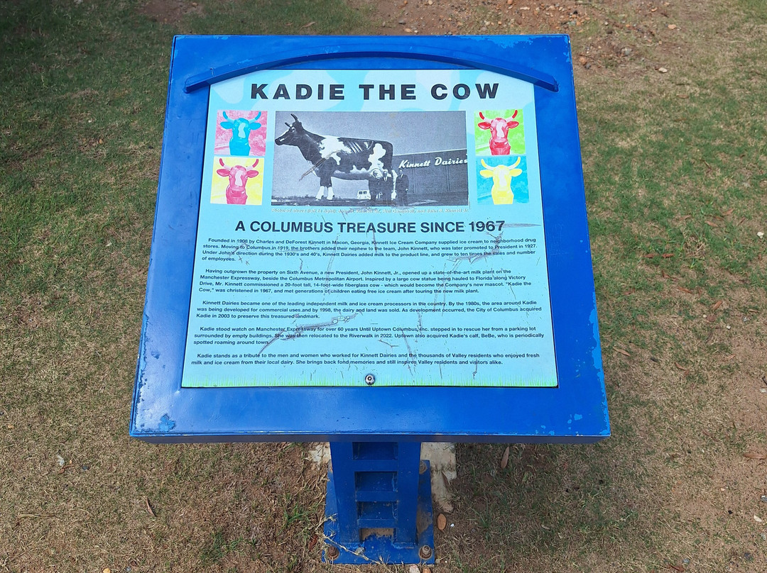 Kadie the Cow of Columbus-哥伦布必去景点