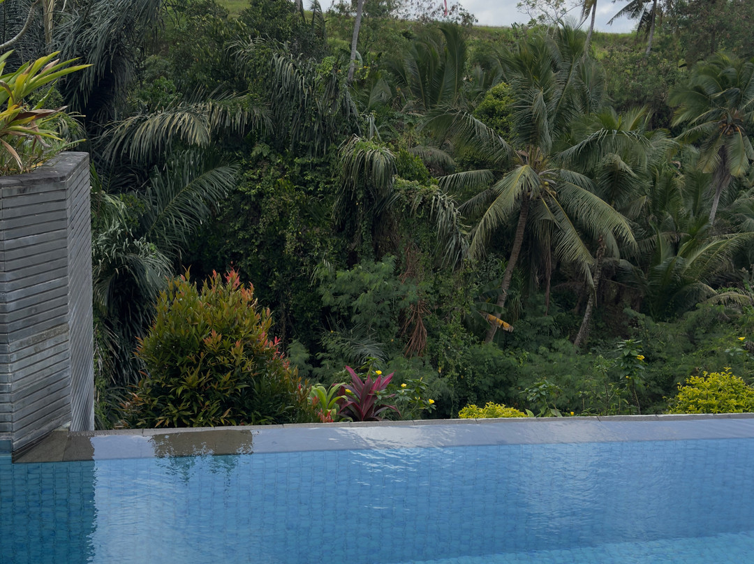 Seres Springs Resort & Spa, Singakerta主图