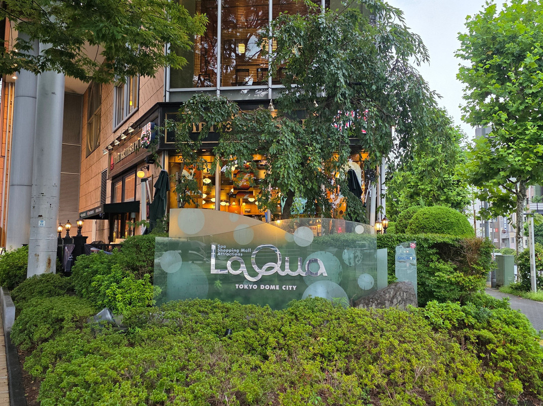 Spa LaQua-文京区必去景点