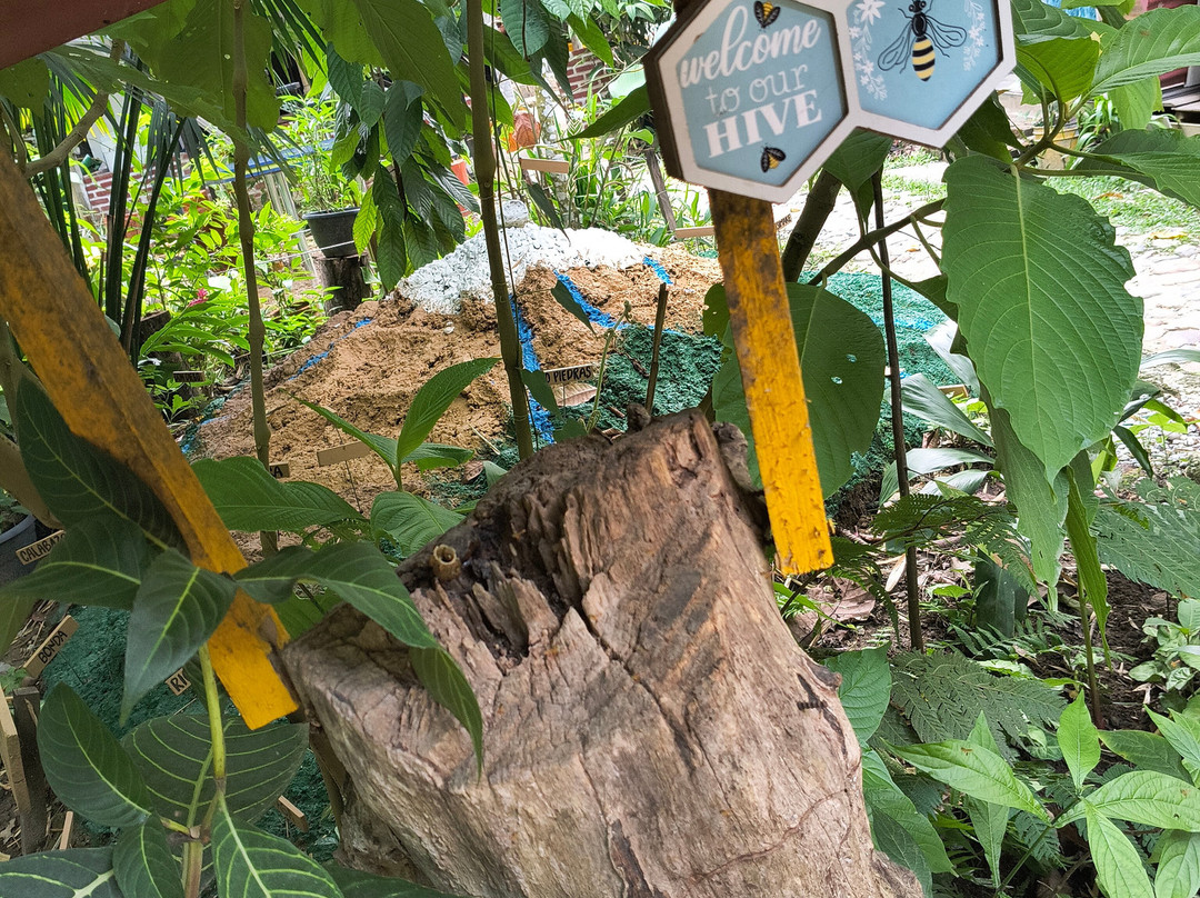 Butterfly Garden Sierra Nevada-Minca必去景点