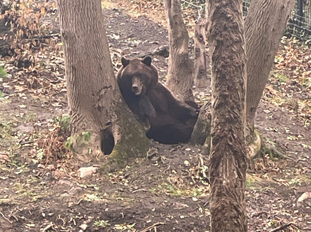 Bristol Zoo Project-Easter Compton必去景点