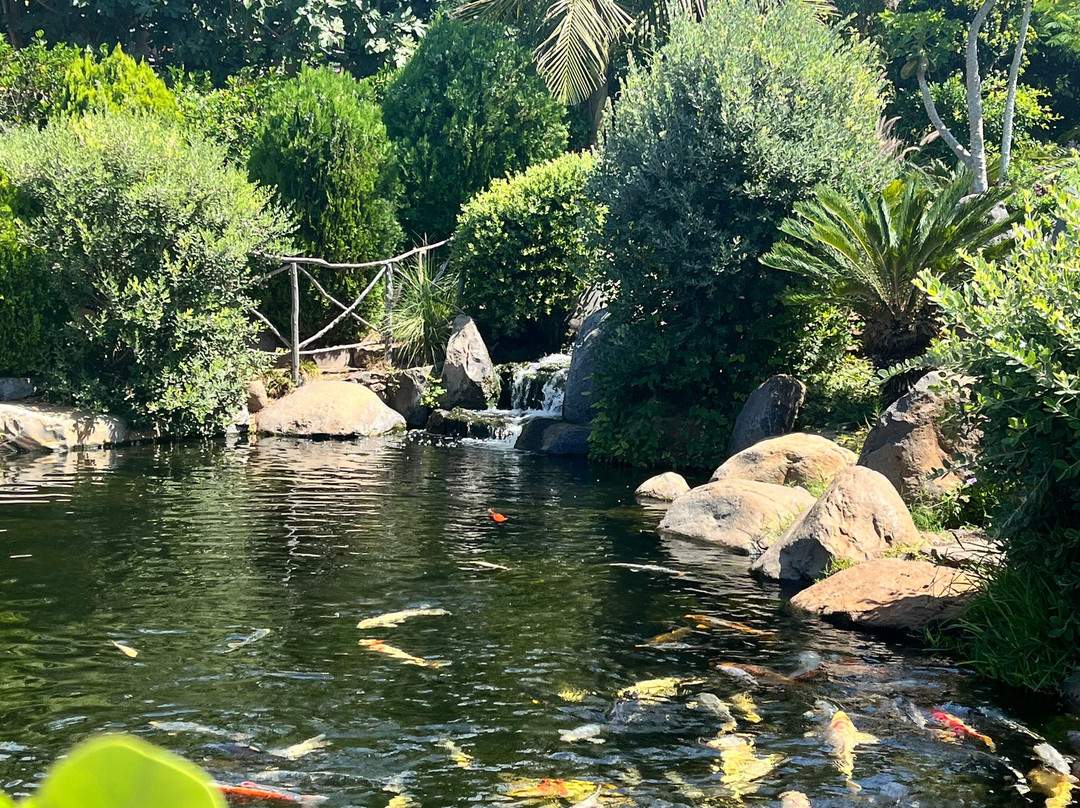 Ilha das Aves-Campanario必去景点