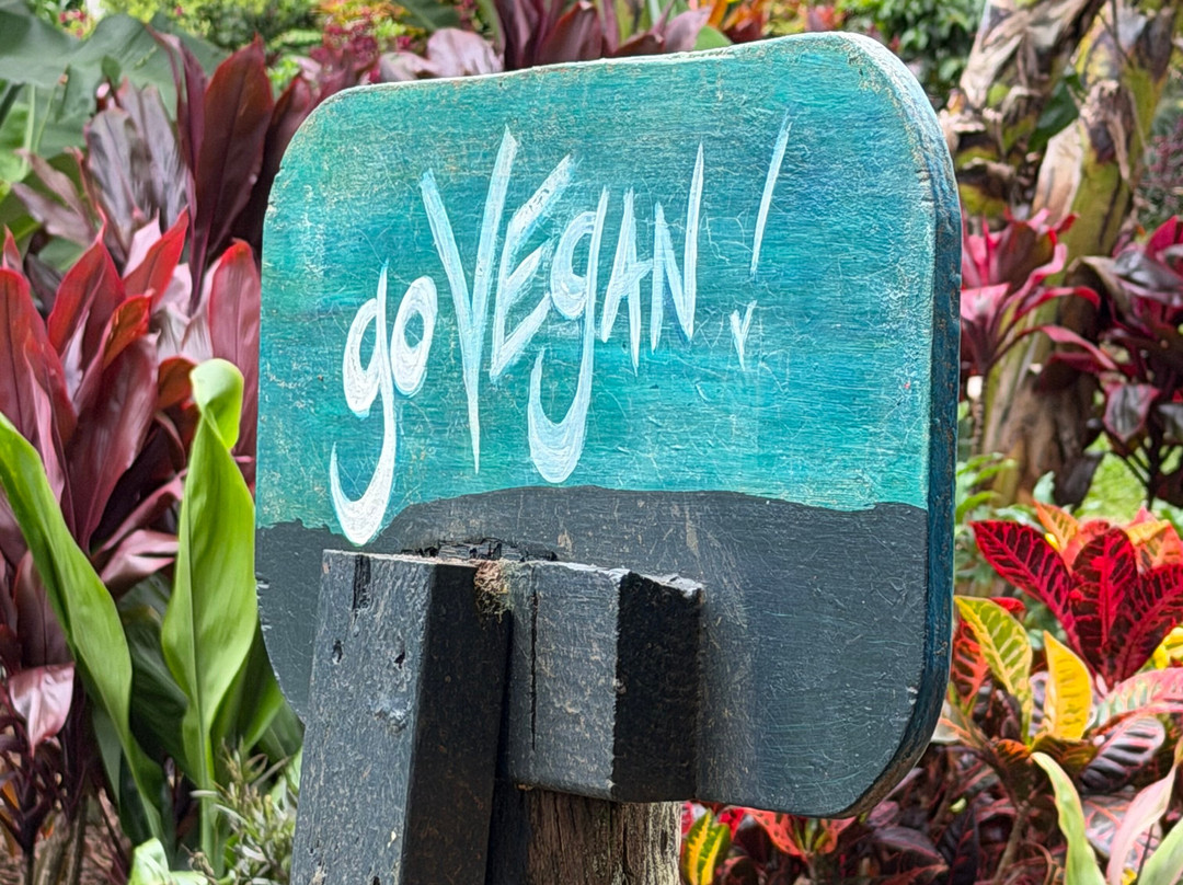 Leilani Farm Sanctuary-海库必去景点