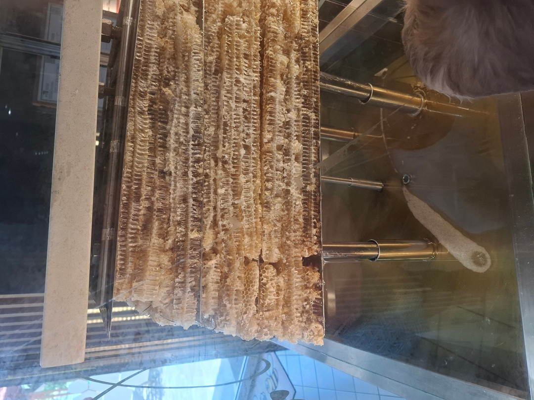 Bee Museum-Pastida必去景点