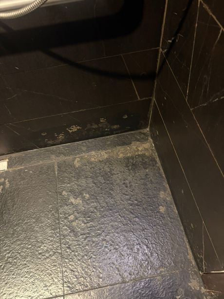 斯台加利利海酒店-旅行者