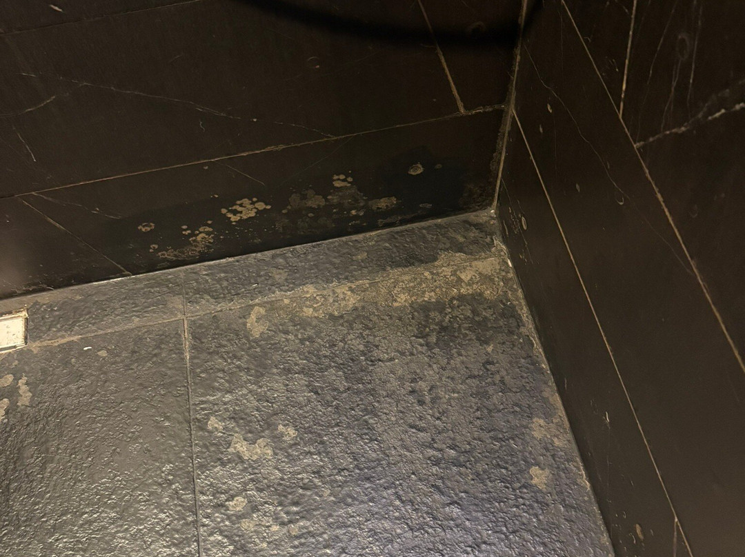 斯台加利利海酒店主图