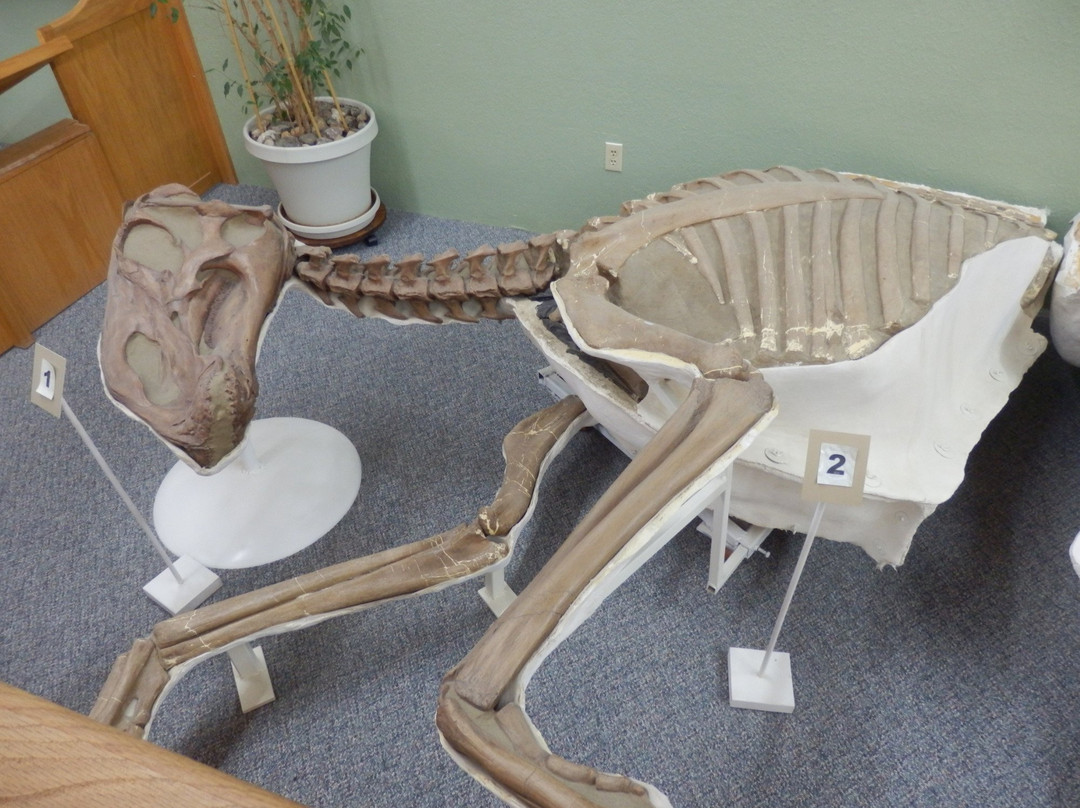 Great Plains Dinosaur Museum-Malta必去景点