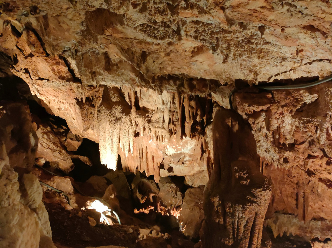 Grotte di Montevicoli-Ceglie Messapica必去景点