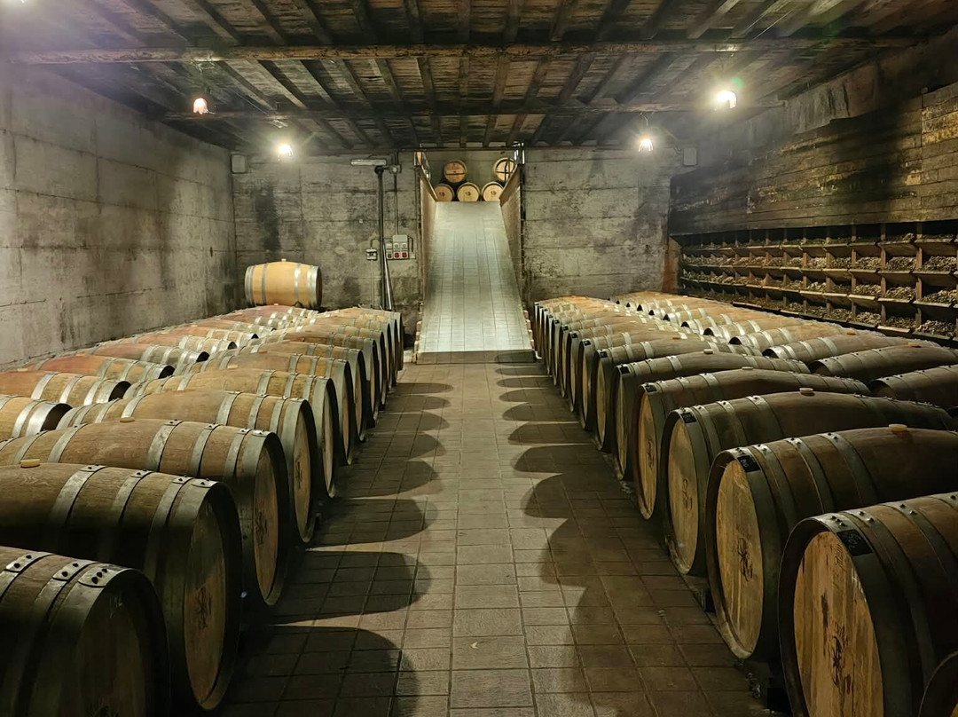 Azienda Agricola Malvirà-Canale必去景点