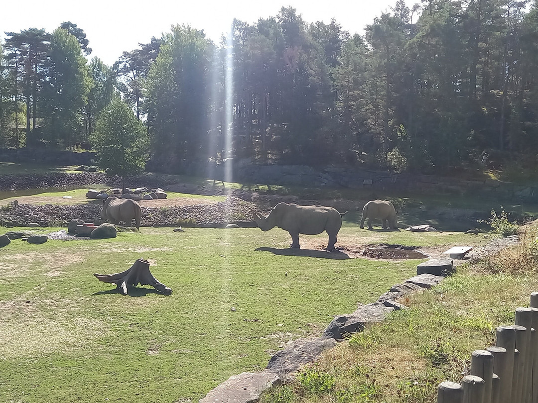 Kolmården Zoo-Kolmarden必去景点