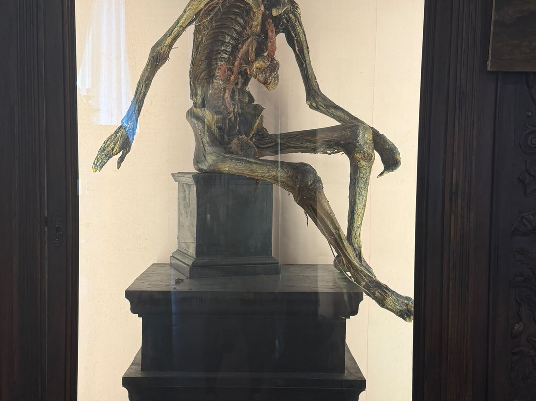 MUSA - Museo Universitario delle Scienze e delle Arti-那不勒斯必去景点