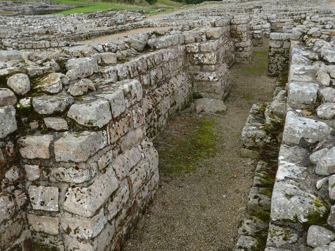 Vindolanda-赫克瑟姆必去景点
