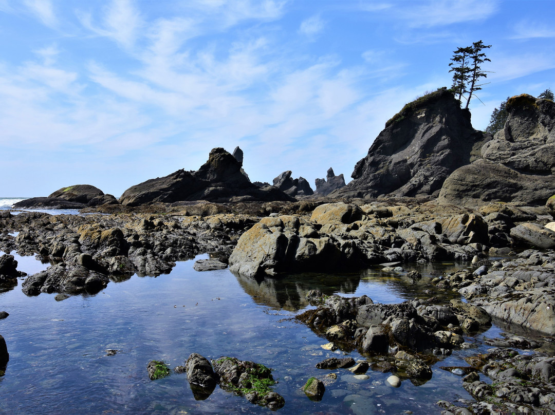 Shi Shi Beach-Clallam Bay必去景点