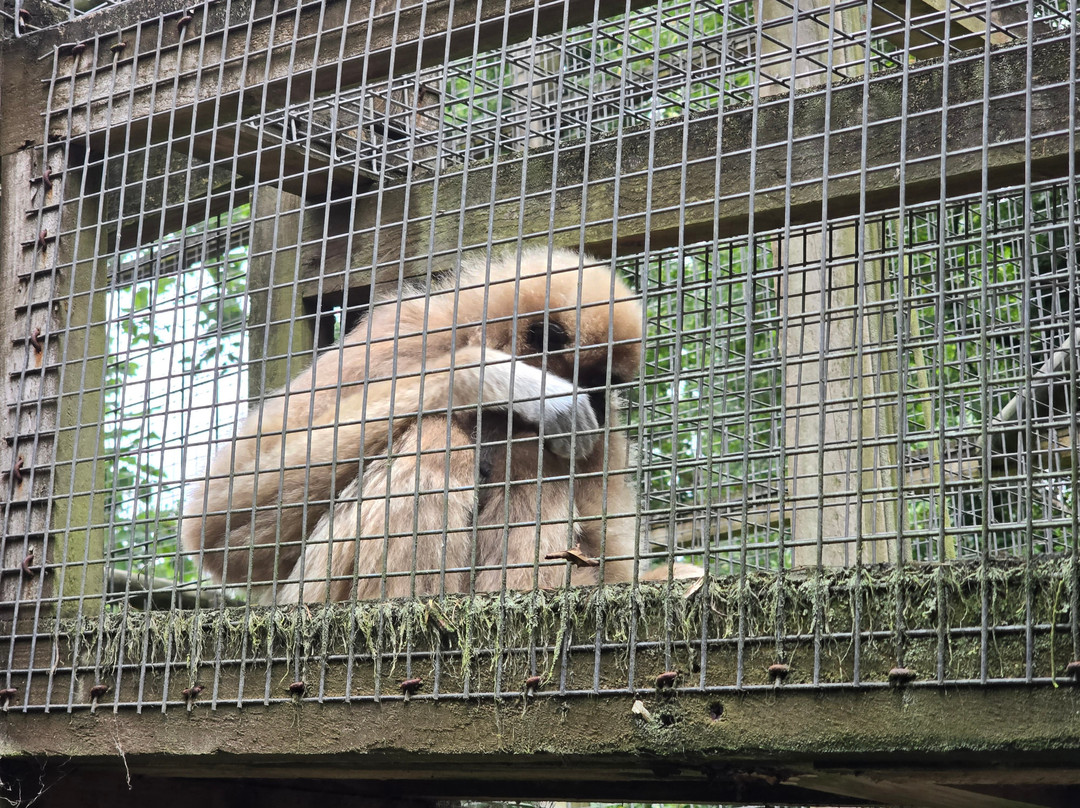 Combe Martin Wildlife And Dinosaur Park-伊尔弗勒科姆必去景点