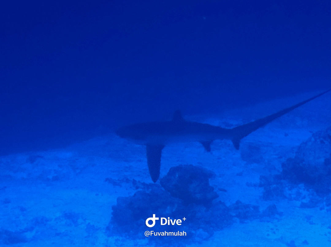 Scuba Butler Fuvahmulah-Fuvahmulah必去景点