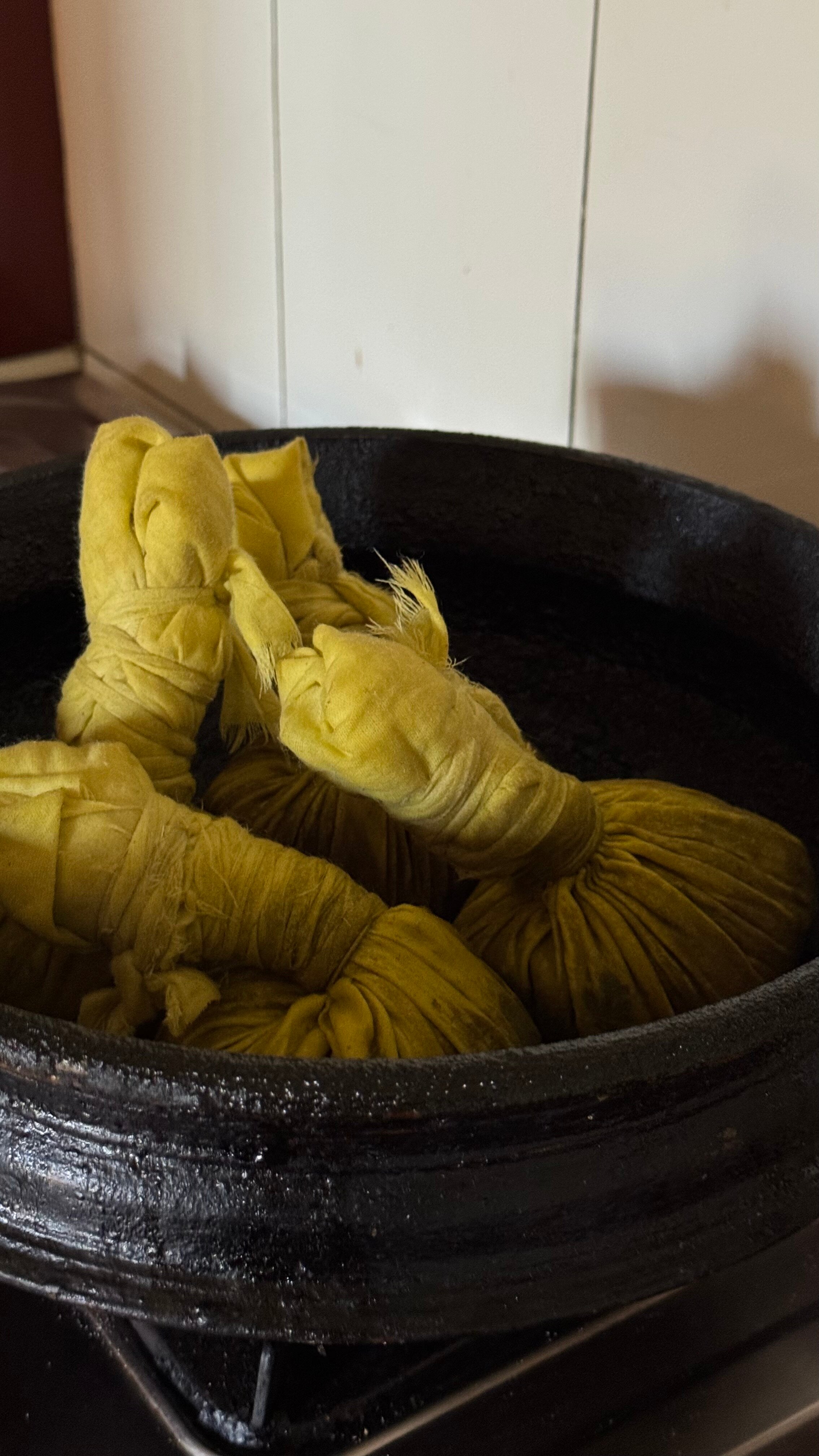 Chamundi Hill Palace Ayurvedic Resort-旅行者