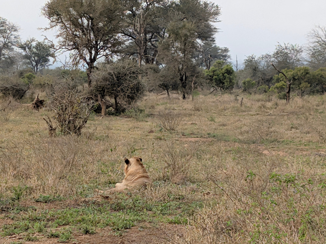 Southern Kruger Safaris-玛洛斯帕克必去景点