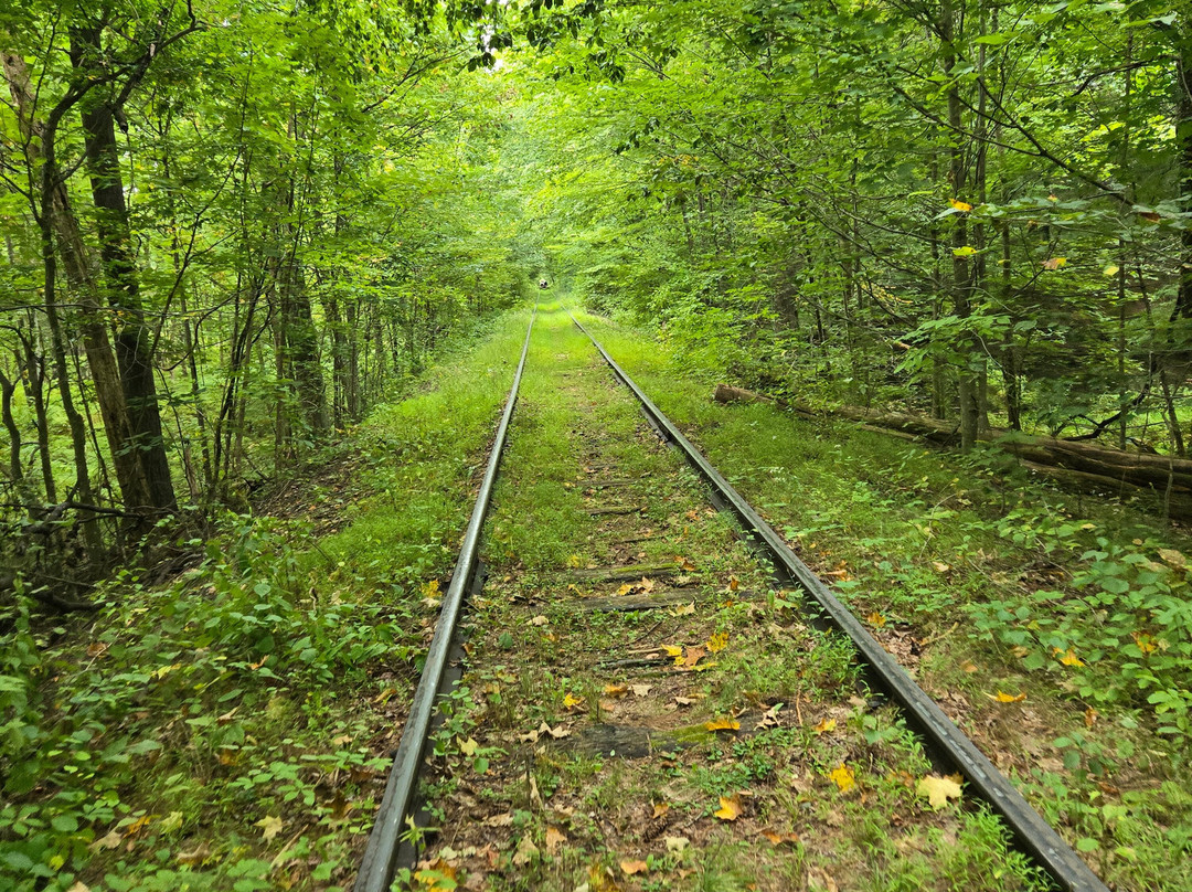 Rail Explorers Catskills Division-Phoenicia必去景点