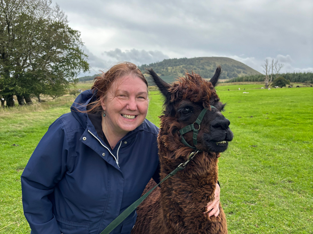 Alpacaly Ever After-Portinscale必去景点