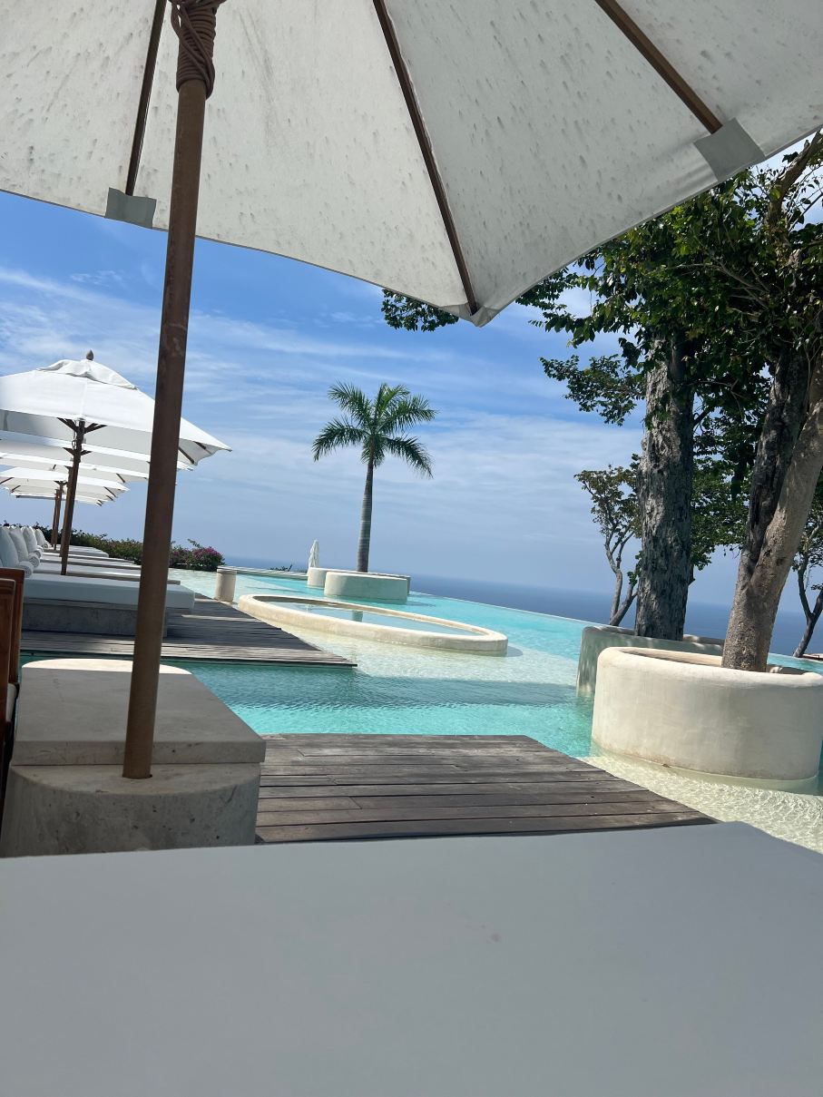 阿卡普尔科恩坎托酒店-旅行者