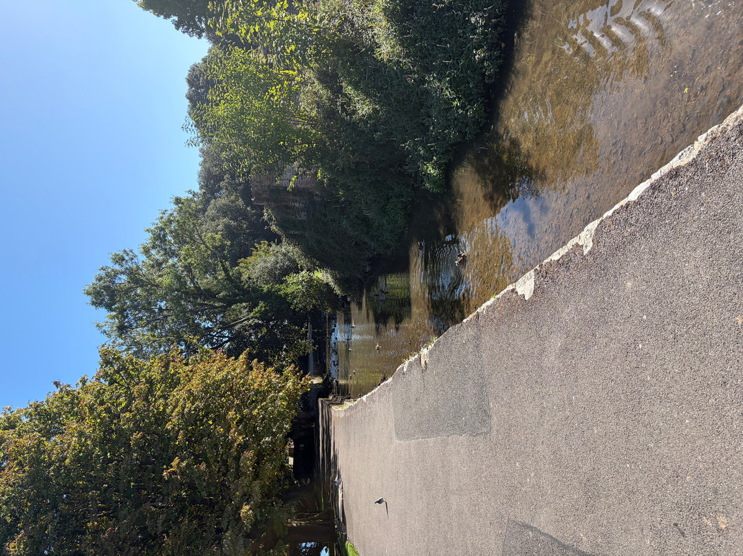 Christchurch Quay-基督城必去景点
