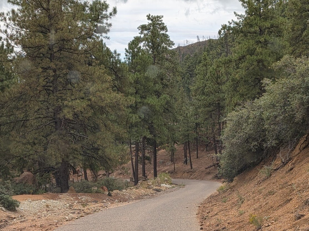 Hualapai Mountain Park-金曼必去景点