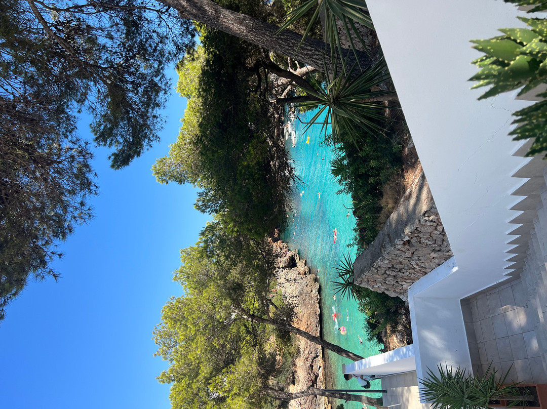 AluaSoul Mallorca Resort - Adults Only主图