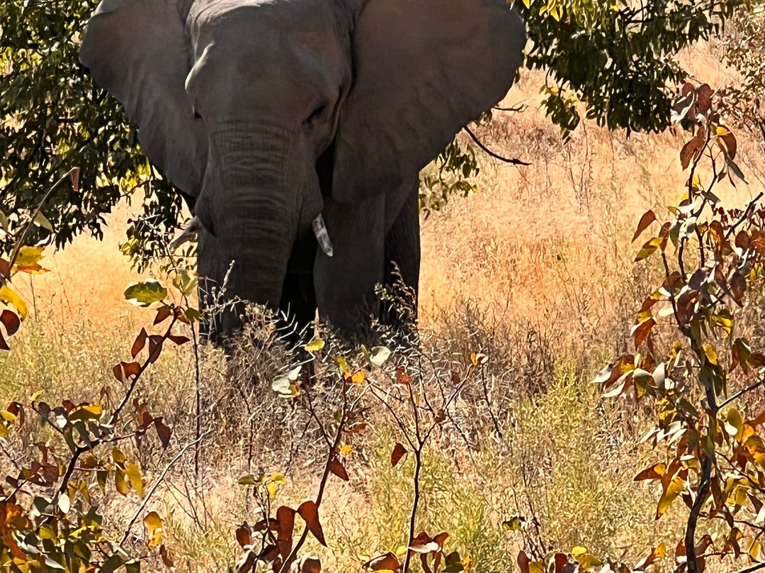 Etosha National Park-Okaukuejo必去景点