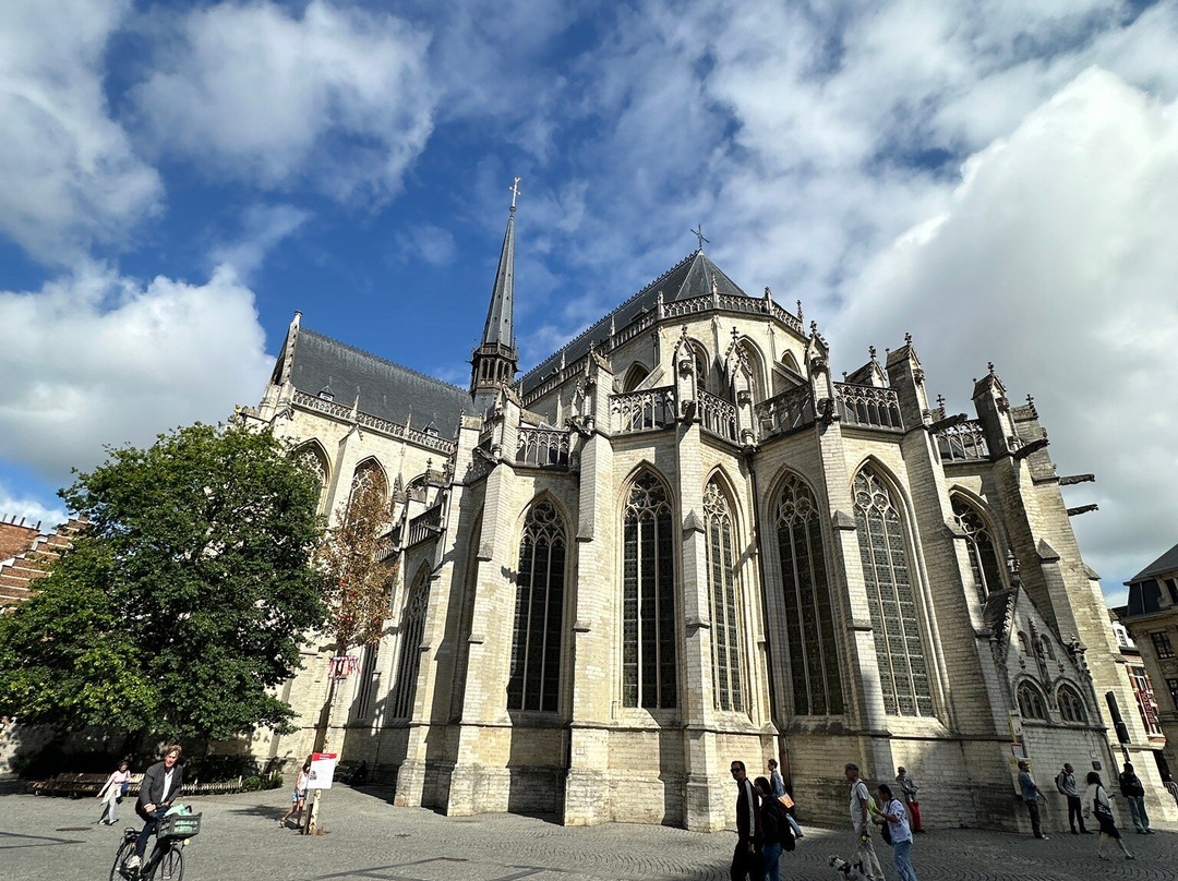 Saint Peter's Church (Sint-Pieterskerk)-鲁汶必去景点