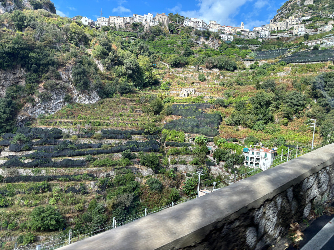 Sorrento House Travel-索伦托必去景点