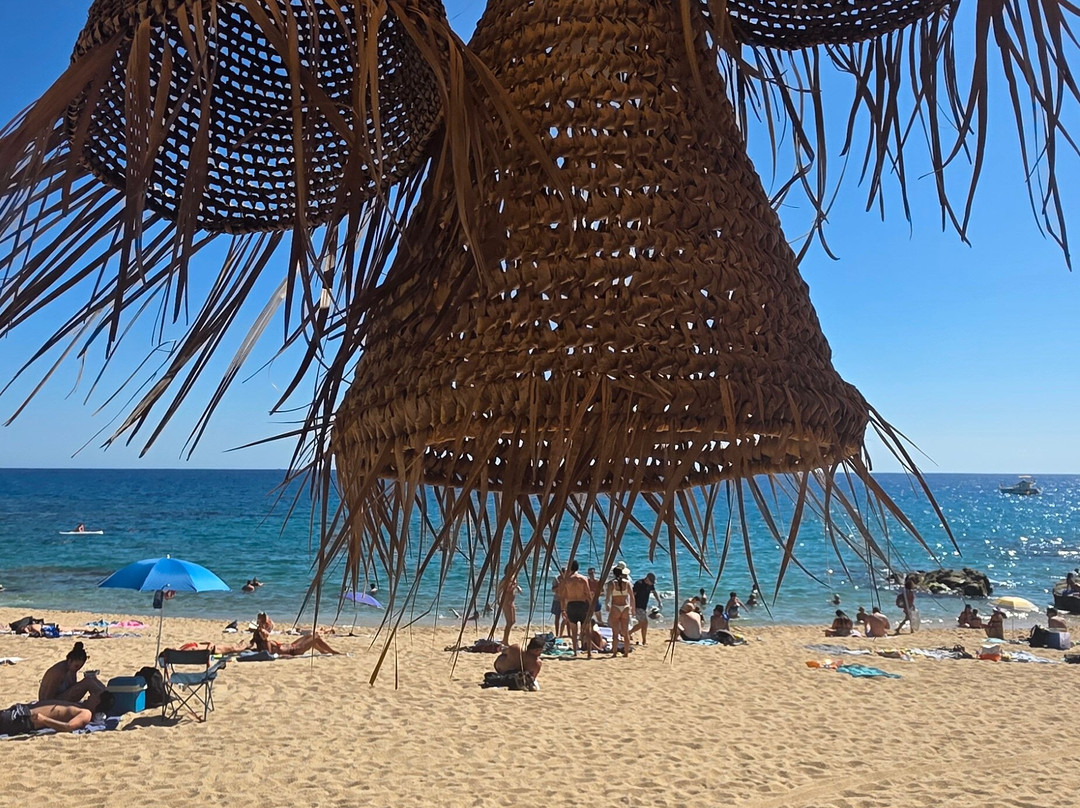 Playa Cala Sa Boadella-犹兰特德玛必去景点