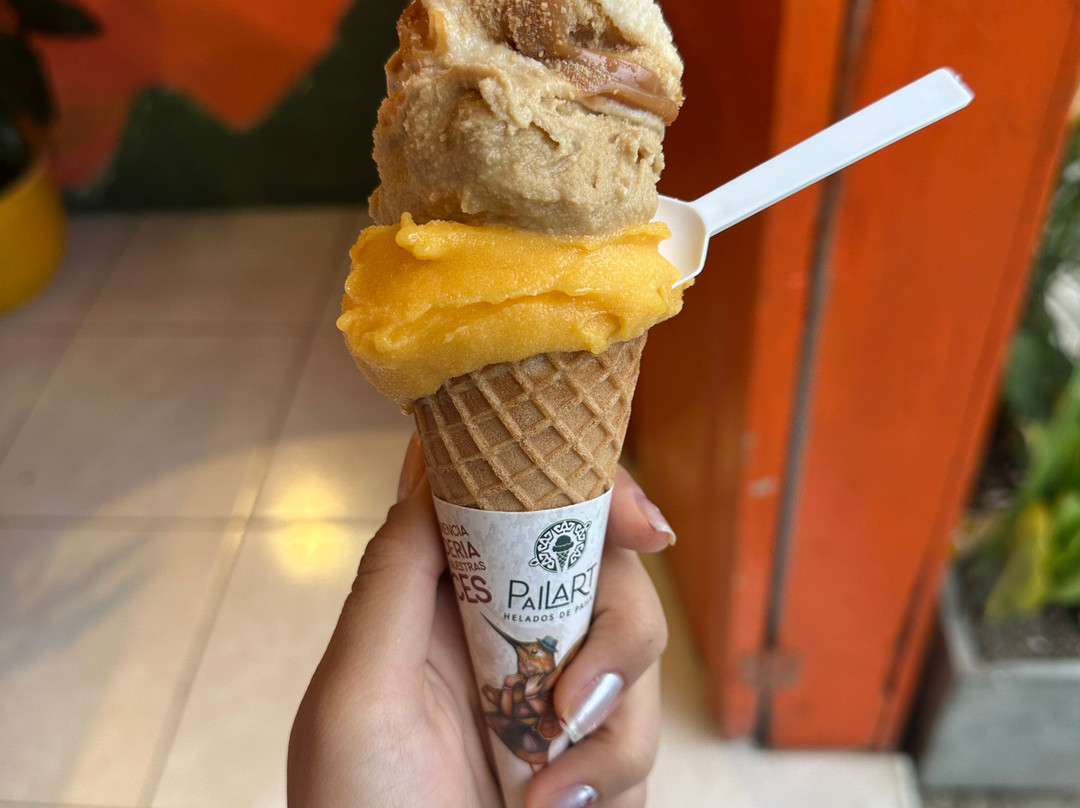 Pailart helados de paila
