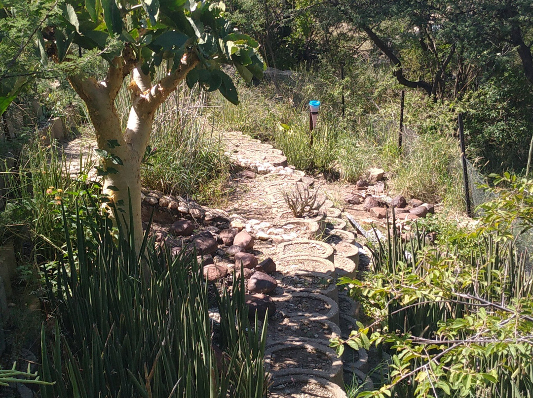 National Botanic Garden of Namibia-温德和克必去景点