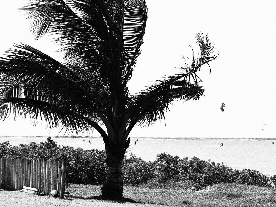 Kitesurf Adventure - Ilha Do Guajiru-Ilha do Guajiru必去景点