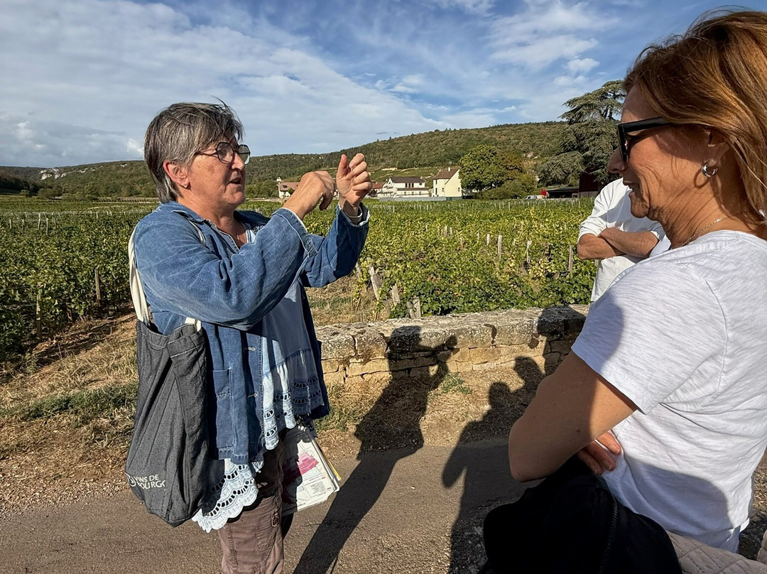 Clos de Bourgogne-热夫雷尚贝坦必去景点