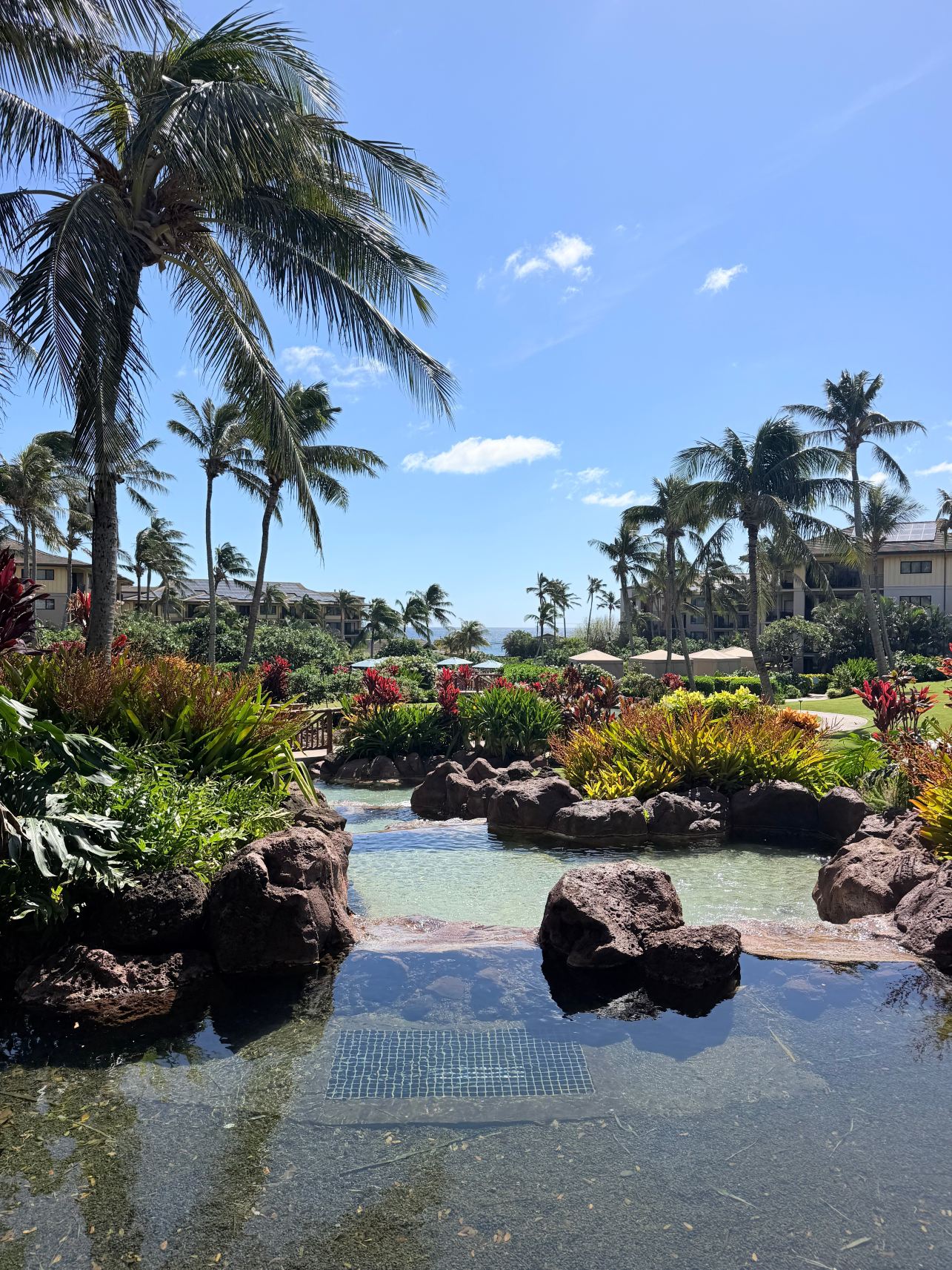 可洛亚兰丁坡伊普度假村傲途格精选酒店-旅行者