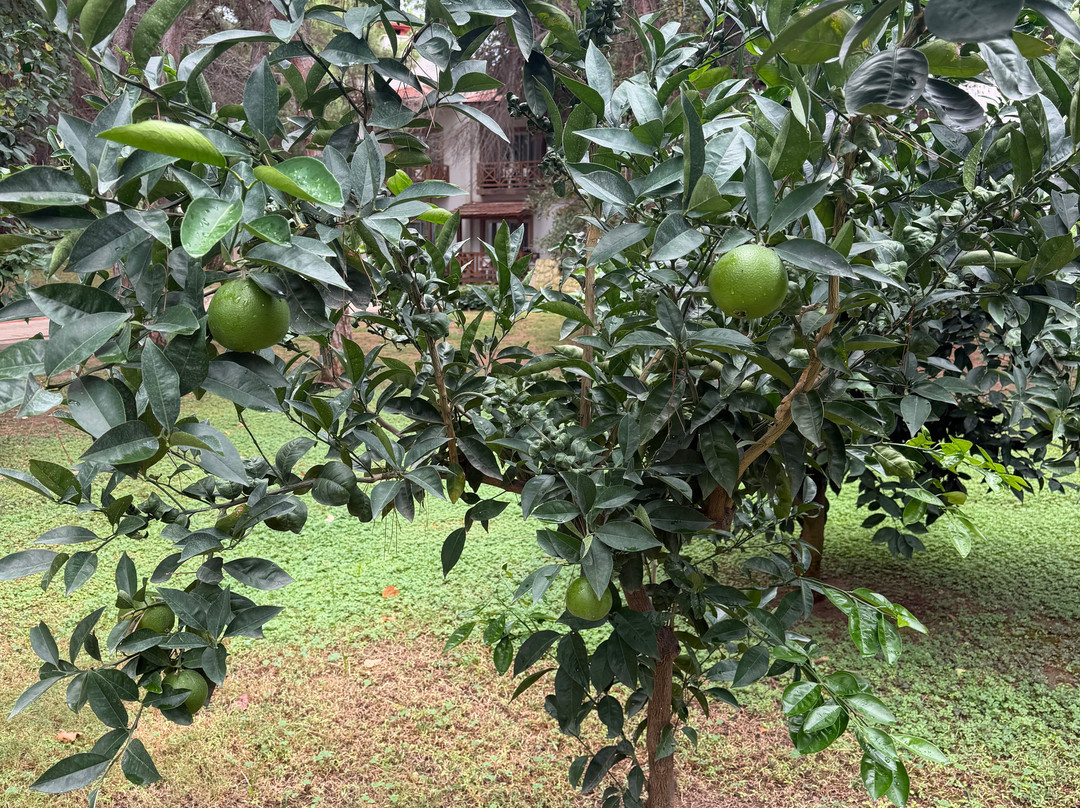 格林马克斯酒店主图
