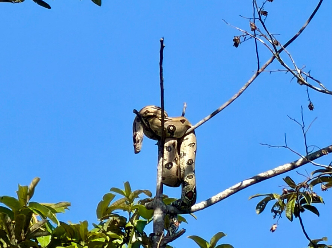 Napo Wildlife Center Ecolodge主图