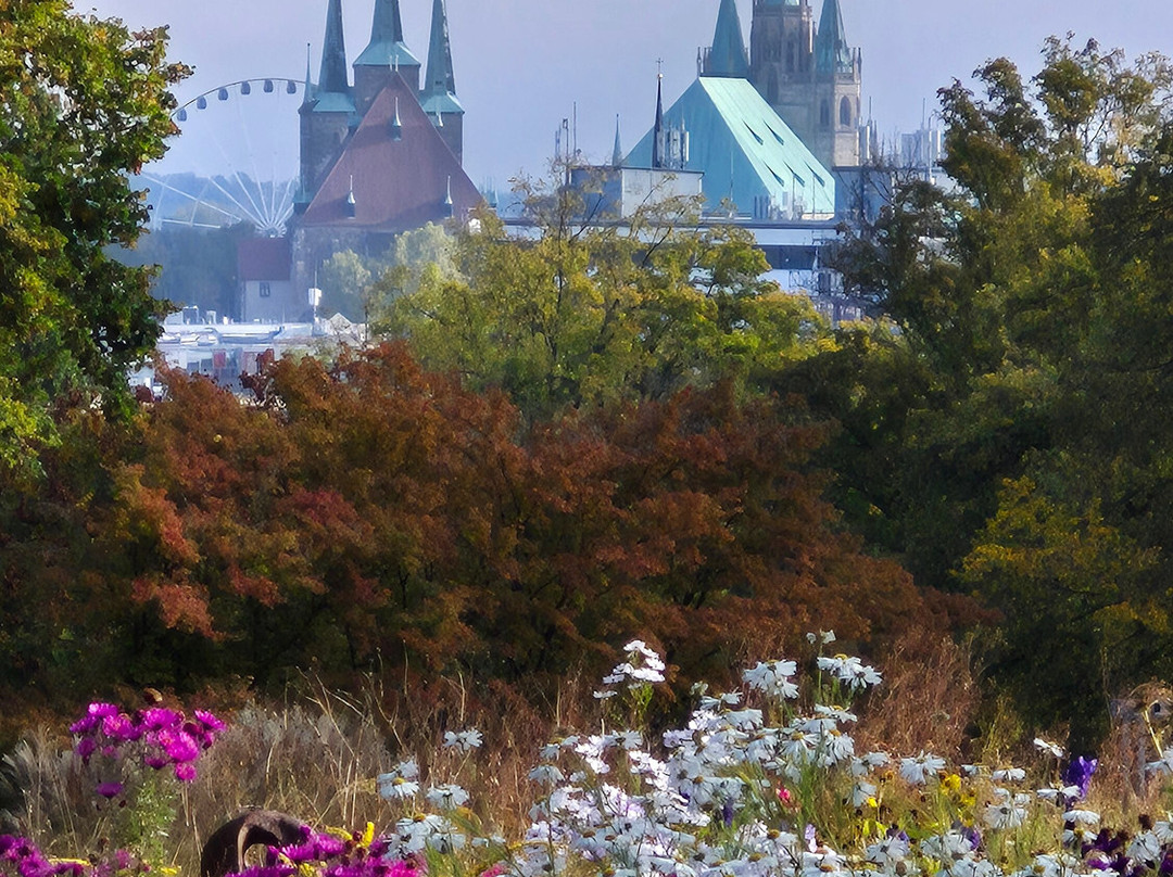 Egapark Erfurt-爱尔福特必去景点