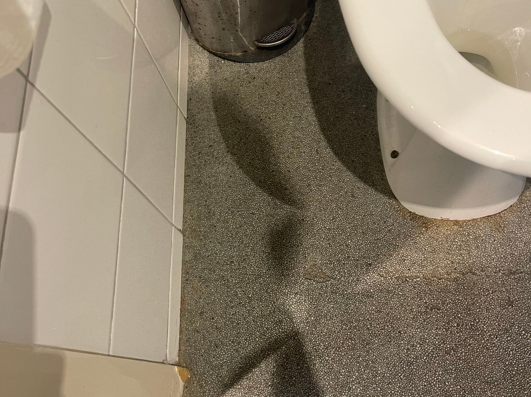 托拉诺酒店主图