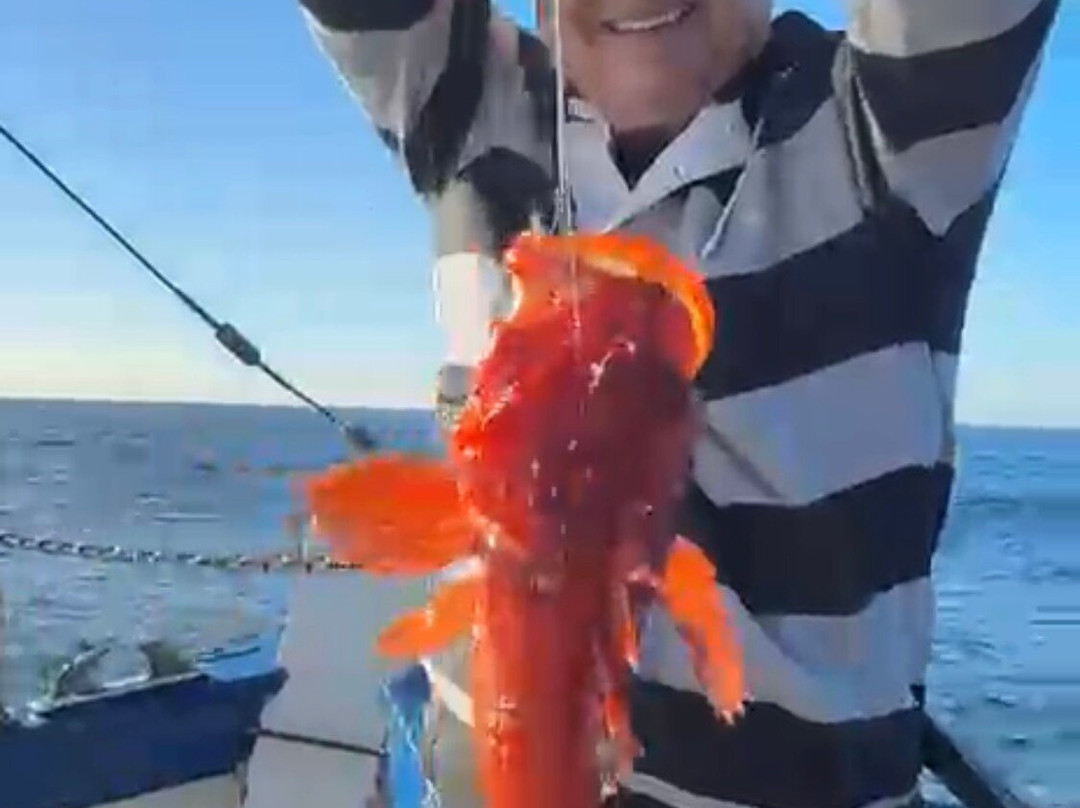 Deep Blue Charters Australia-Rose Bay必去景点