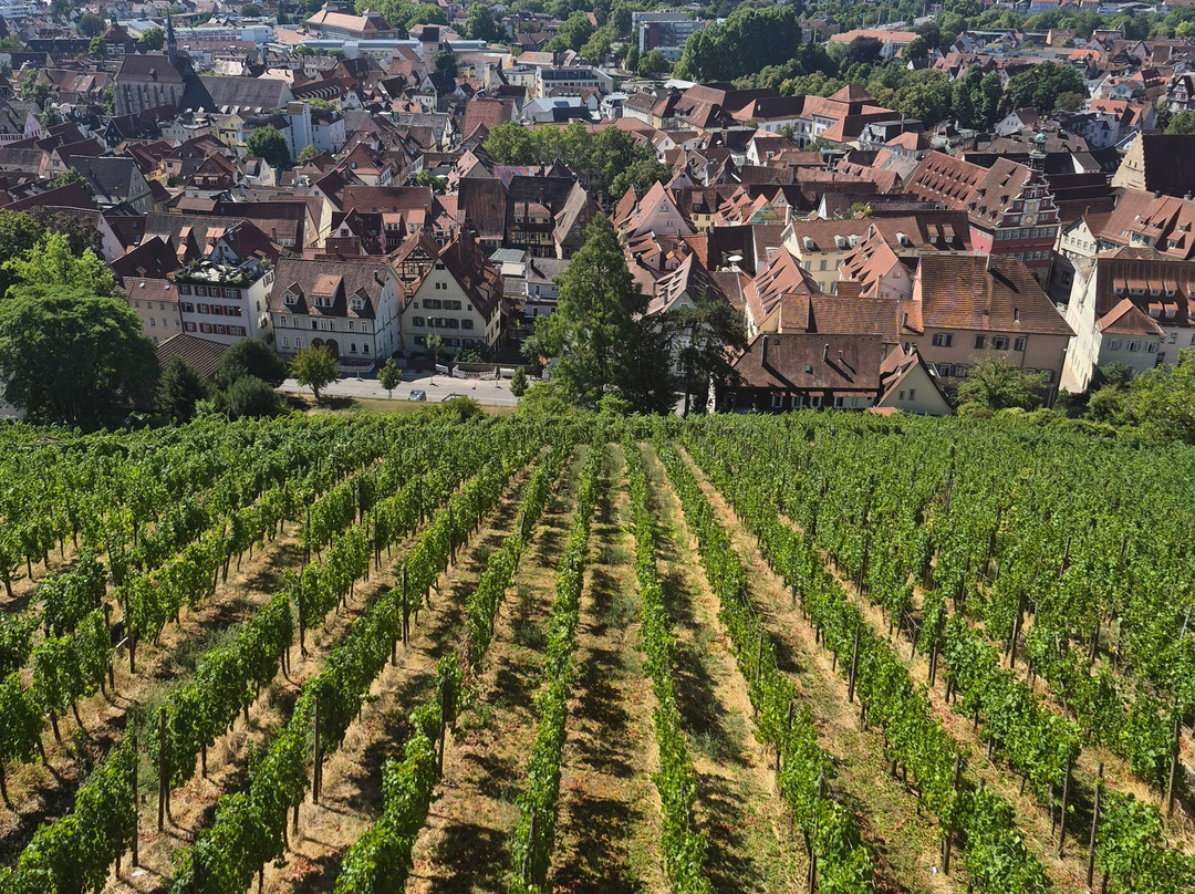 Kirche Maria Verkündigung, Esslingen am Neckar-内卡河畔埃斯林根必去景点