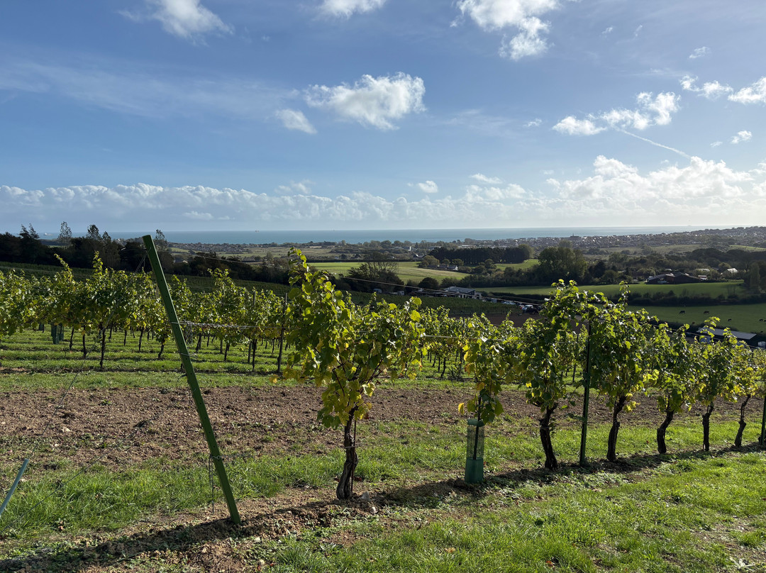 Adgestone Vineyard-Brading必去景点
